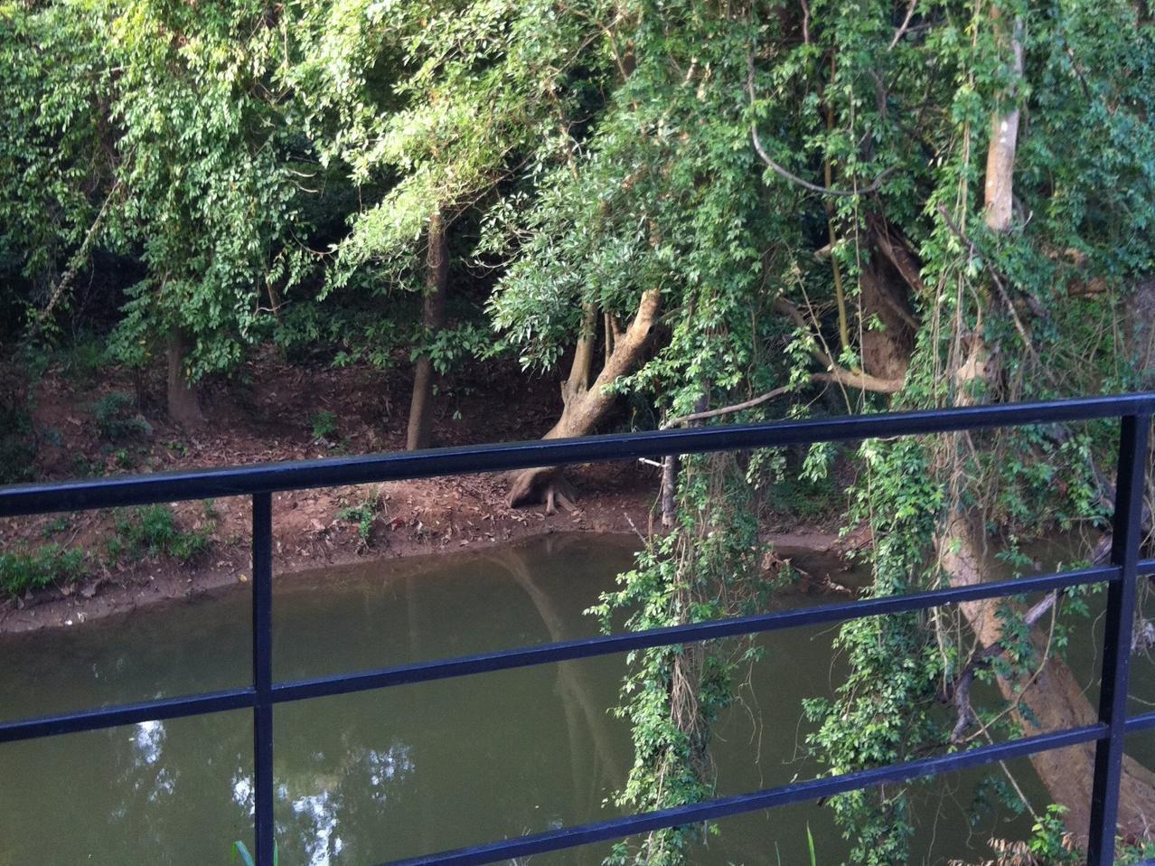 The Creek At Khao Yai Hotell Pak Chong Exteriör bild