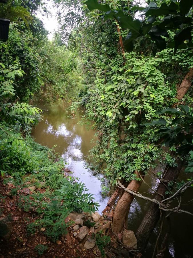 The Creek At Khao Yai Hotell Pak Chong Exteriör bild